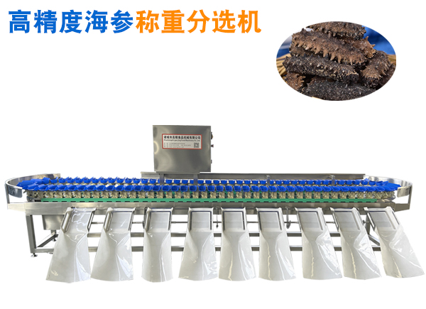 高精度海參分選機 海參分頭機 防掉刺海參分頭機 海參克選機 拉缸鹽分選機